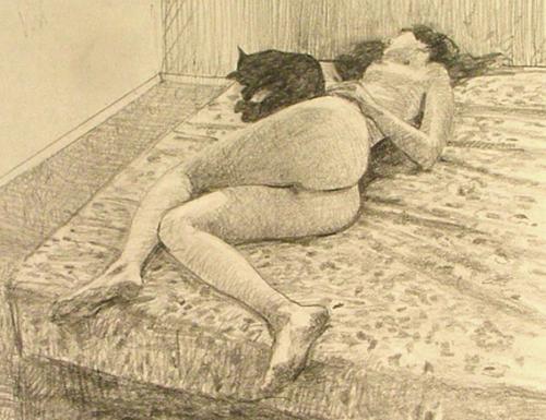 Cat nap - Pencil drawing by © Neal Smith-Willow - AmorArt