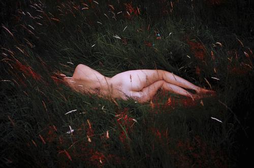 Ispirata dalla Natura, “In The Shadows Of The Sun” è la serie della giovane fotografa londinese Hollie Fernando che parla di isolamento e libertà.