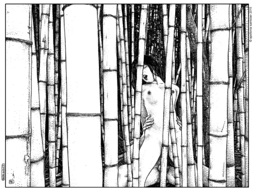 La cage de bambous (La gabbia di bambù) - Drawing by Apollonia Saintclair - AmorArt