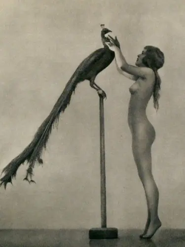William Mortensen - Nude with peacock