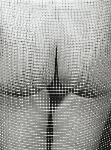 marcel-marien-untitled-nude-and-mesh1985