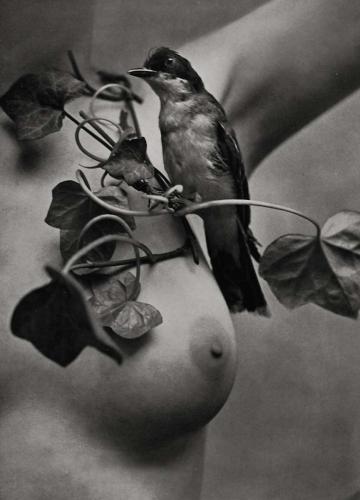 zoltc3a5n-glass-nude-with-bird-1950s